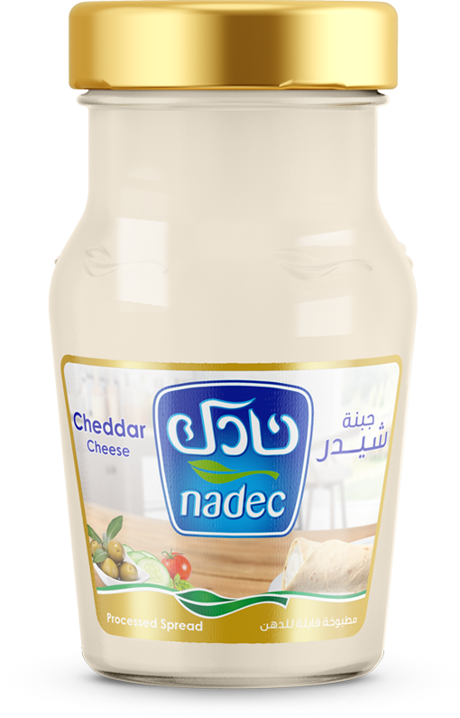 Nadec Spreadable Cheddar Cheese 240g